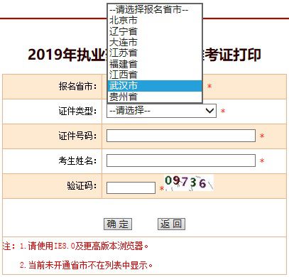 2019武汉执业药师准考证打印
